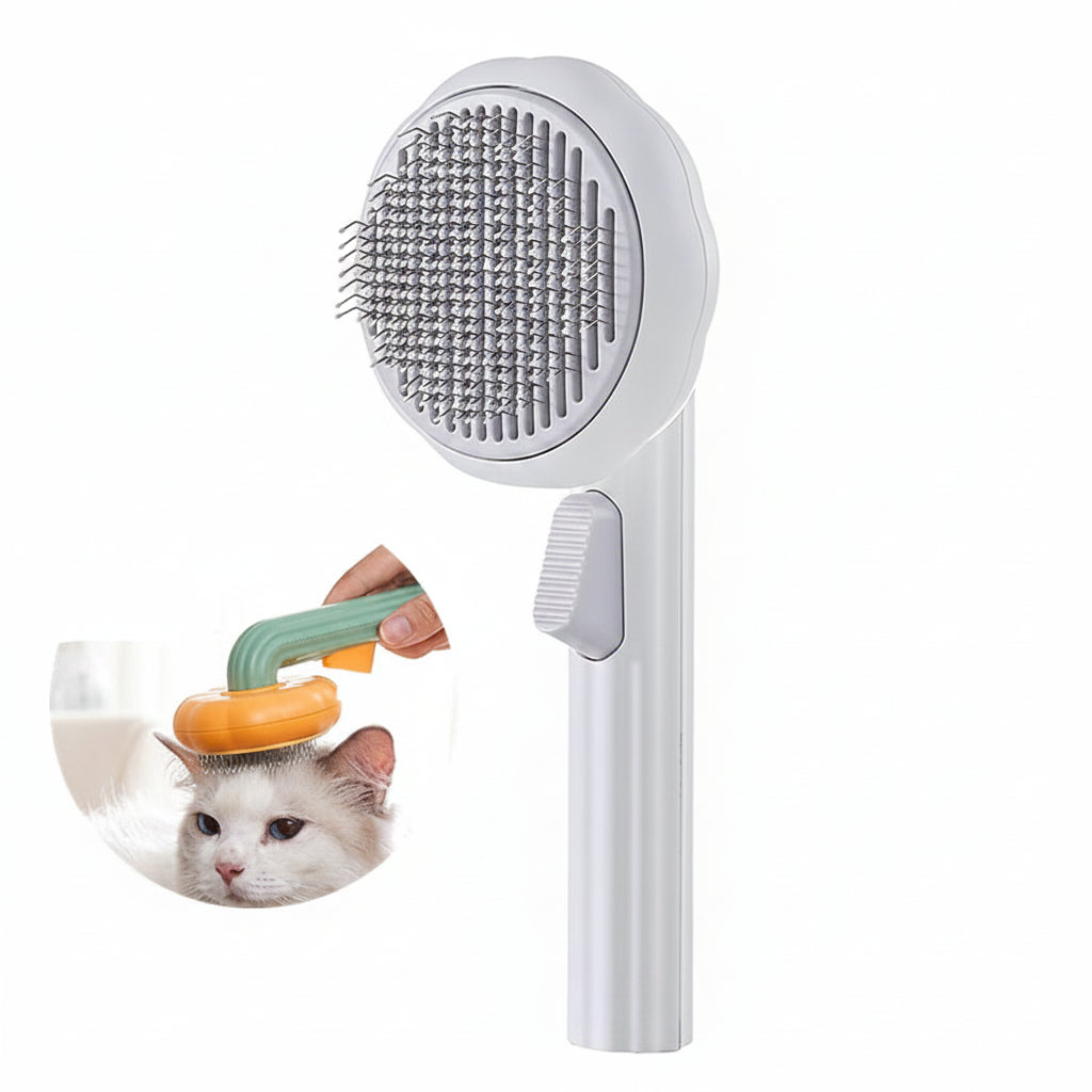 Brosse auto-nettoyante Cathéo Soin