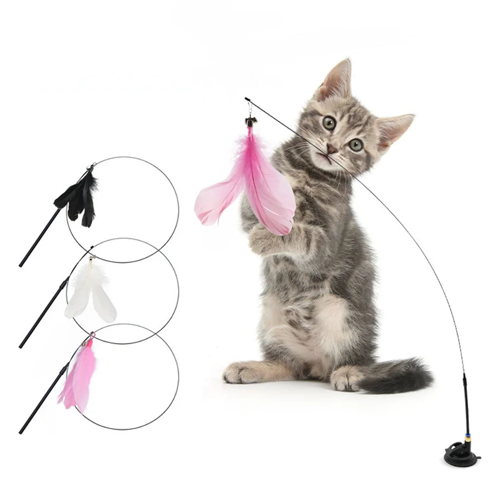 Canne à pêche interactive Cathéo Play