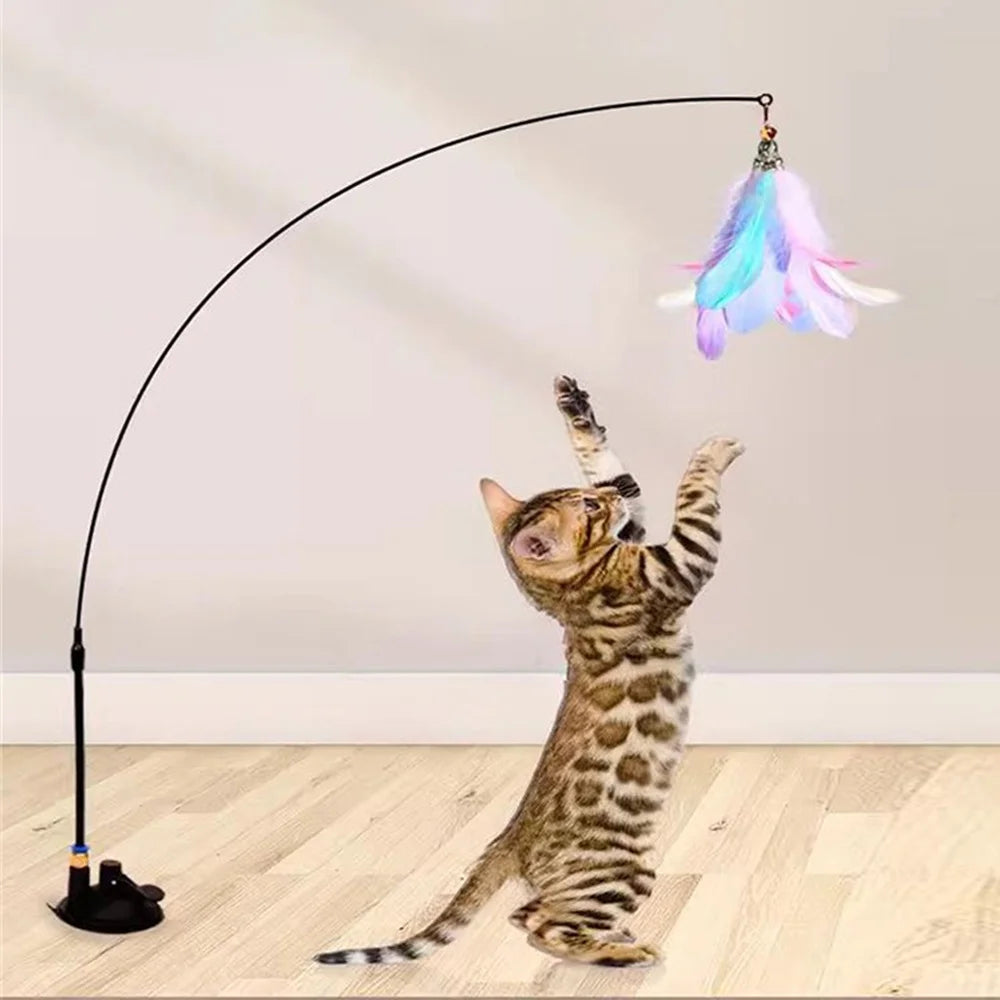 Canne à pêche interactive Cathéo Play
