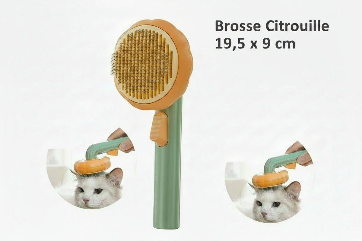 Brosse auto-nettoyante Cathéo Soin