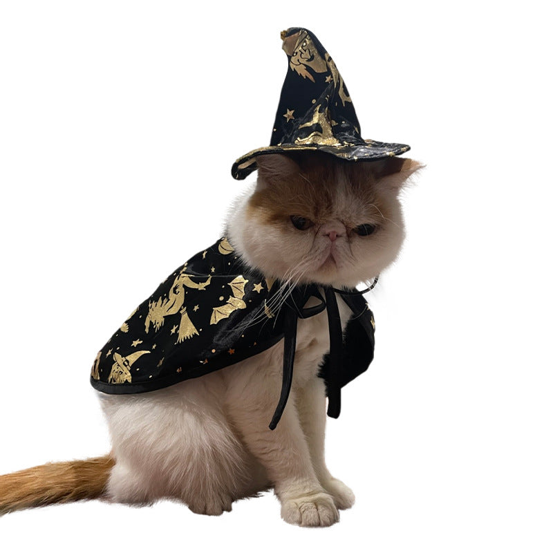 Déguisement Halloween citrouille pour chat
