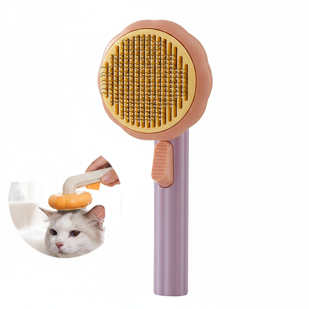 Brosse auto-nettoyante Cathéo Soin