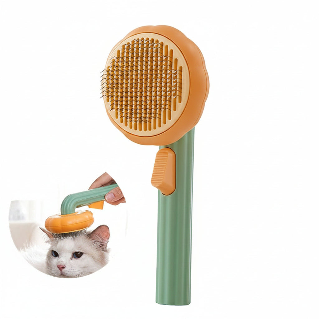 Brosse auto-nettoyante Cathéo Soin