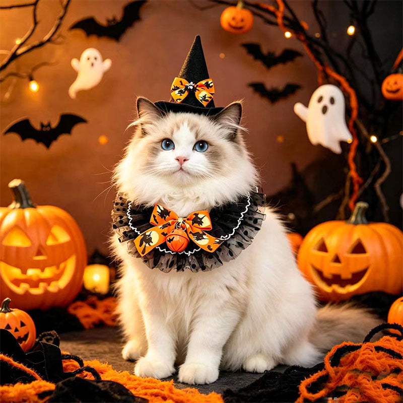 Set bandana et chapeau Halloween pour chat