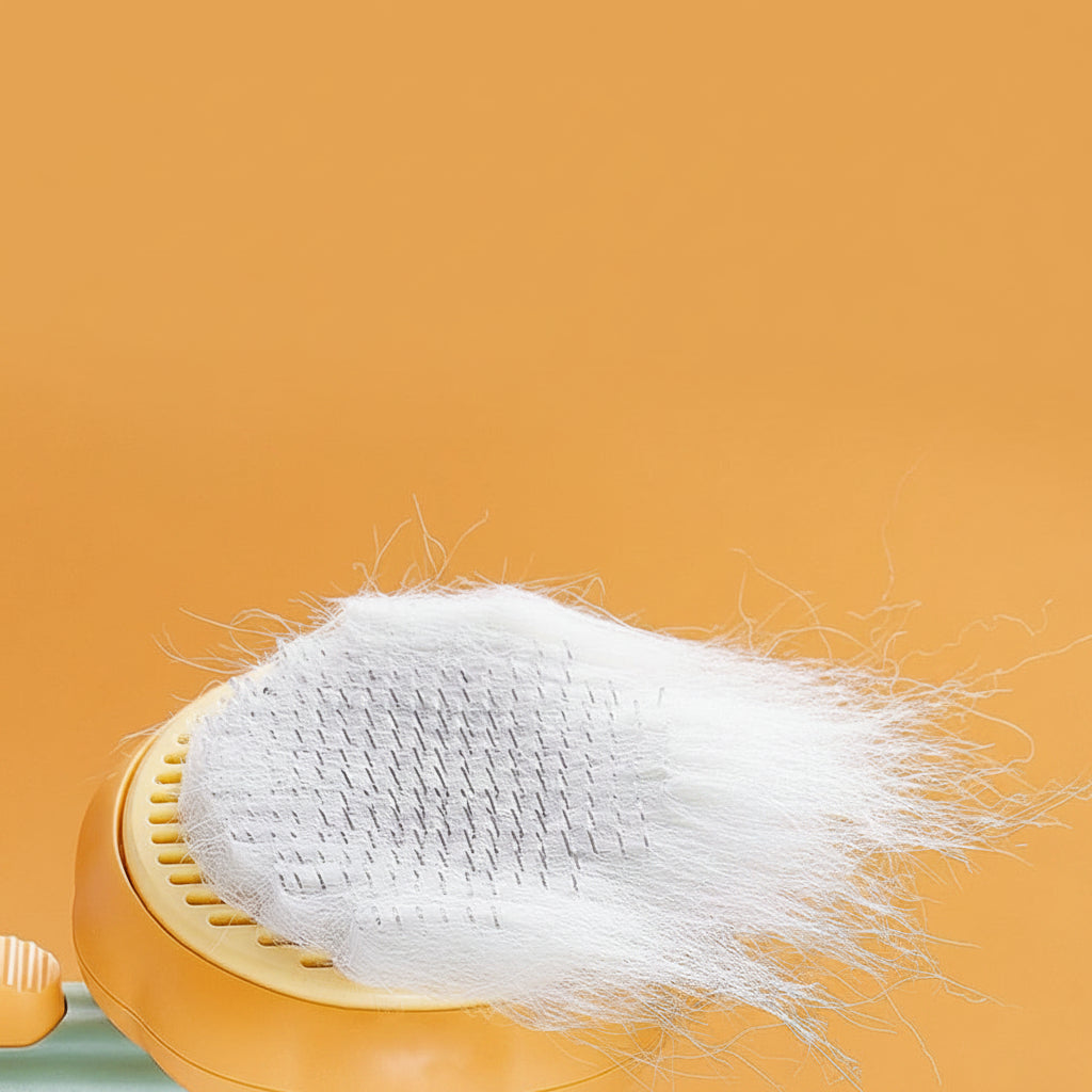 Brosse auto-nettoyante Cathéo Soin