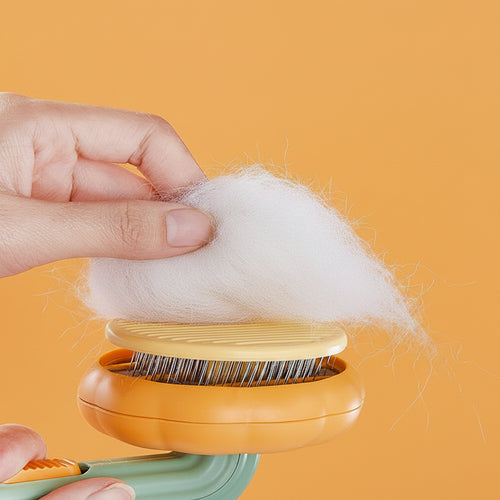Brosse auto-nettoyante Cathéo Soin