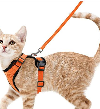 Harnais et Laisse pour Chat, Anti-Fugue - Réglable et Confortable