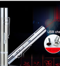 Stylo Laser pour Chat, Rechargeable USB - 4 Motifs Lumineux